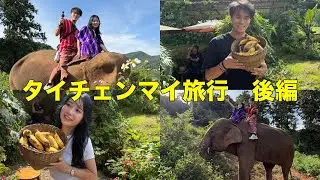 タイ後半でゾウに乗った！！