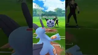 Easy win( #gobattleleague )