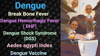 Dengue | Break Bone Fever | Dengue Hemorrhagic Fever | DHF | Dengue Shock Syndrome | Dengue Vaccine