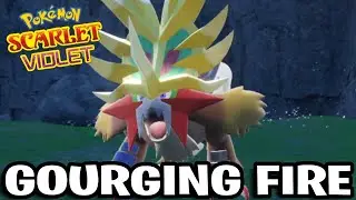 How to Catch Gourging Fire in Pokemon Scarlet: The Indigo Disk
