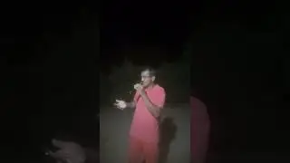 Tim maia,dia de domingo