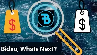 Bidao: Where Do We Go From Here?