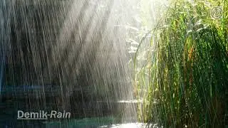 Demik Rain