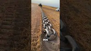 C&oacute;mo Australia y Estados Unidos Borran un bosque entero en minutos #agricultura #shorts