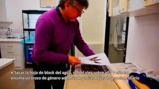 CÓMO CONFECCIONAR UN ALGARIO