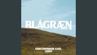 Bl&aacute;gr&aelig;n