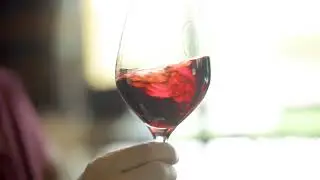Zeni wine tasting: Fausto and Federica Zeni taste the Costalago Rosso Veronese