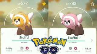 SHINY STUFFUL EVOLUTION INTO BEWEAR IN POKEMON GO !