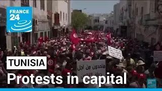 Tunisian political crisis: Protests in capital against constitutional referendum &bull; FRANCE 24