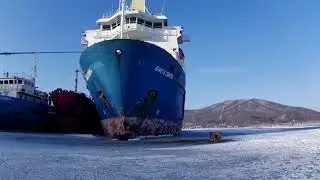 Зимняя рыбалка на острове Русском. Ловля наваги. Прогулка на остров 