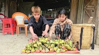 Homeless boy and a poor girl pick wild fruits and sell them to buy cooking oil - Homeless boy