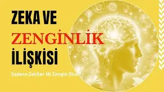 The Relationship Between Intelligence and Wealth! Are Only Intelligent People Rich?