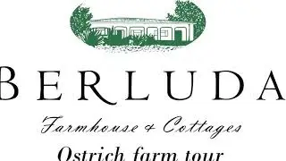 Authentic Ostrich farm tour at Berluda Guesthouse, Oudtshoorn, South Africa