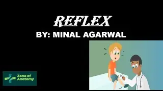REFLEX | REFLEX ARC | TYPES OF REFLEXES |