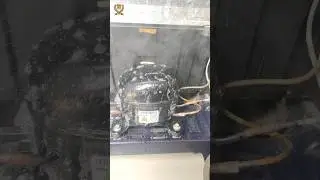 fridge not cooling.. #fridgerepair #fridgenotcooling #fridgeshorts #shorts #ytshorts