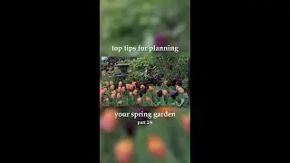 Top Tips for Planning Your Spring Garden! 2/6