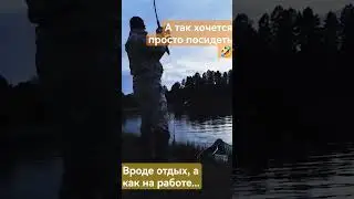#hobby #fishing #рыба #2024 #животные #nature #river #summer #рыбалка #catch #shorts #лещ #fish