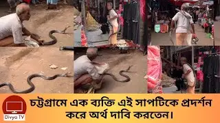 কিং কোবরা সাপকে দেখিয়ে আয় করছে এক ব্যক্তি। Novel Money Collection | Divya Tv |