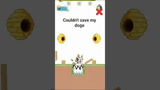 how I saved my doge #savethedoge #saveanimals #gaming #satisfying #shorts #shortvideo #youtubeshorts