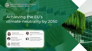 Achieving the EU&rsquo;s climate-neutrality by 2050