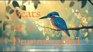 1 Hour Sound Journey ft multi instruments weaved with meditative beats