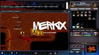 ImperiumAO Classic 1.2 | 1v1 Paladin