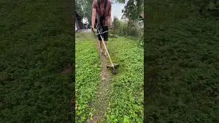 Efficient Grass Mowing Techniques for a Perfect Lawn #skills