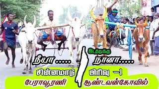 சின்னமாடு-1 ஆண்டவன்கோவில் Sinnamadu-1 Peravurani  | Reklarace2022 | Periai_Raj_Digital