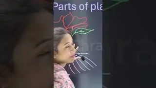 पौधों की वृद्धि में जड़ों की भूमिका role of roots in plant growth #cgbse #biology #neet