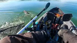 winter bass fishing at Lake Berryessa and New Lake Melones 2026 (My Return to Happiness) 