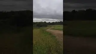 WPB stomp 190 vs Yamaha WR 250