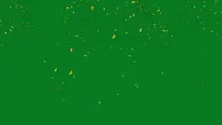 HD 03 Green Screen Yellow Leaves Flower Falling Motion Effect || free use no copyright