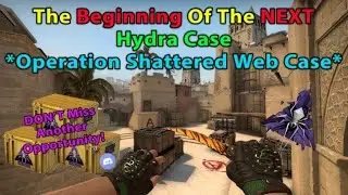 The Most Safe CS:GO Case Investment - Operation Shattered Web Case