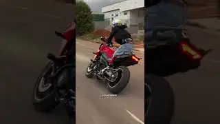 Tracer 900 🥵🇧🇷#shorts #244 #tracer900 #grau #viralvideo