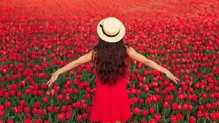 Relax Puzzles. Red flower field.