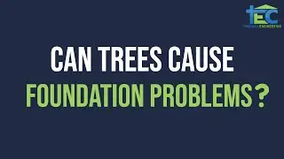 Can Trees Affect Home Foundation - Foundation Engineer Dallas Fort Worth Arlington