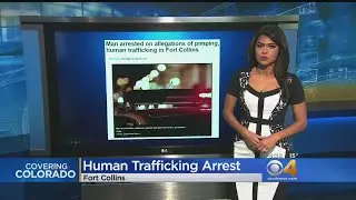 Fort Collins Police Arrest Man On Pimping Charges