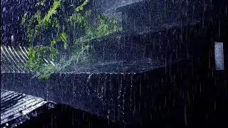 Heavy Rain on Tin Roof — Deep Sleep in Minutes (No Thunder)