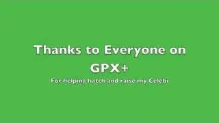 Celebi Hatches - Global Pok&eacute;deX Plus (GPX+)