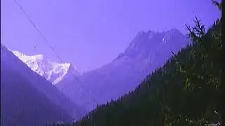 Alpine Life Digital