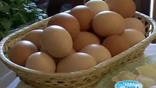 Dalla Terra alla Tavola - Donne Impresa Coldiretti Cuneo #01