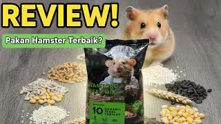 Review Pakan Hamster Hamtoro Seed Mix