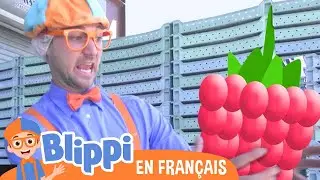Blippi visite une usine de framboises | Blippi en français | Vidéos éducatives pour les enfants