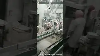 Semi Automatic Packaging Machine for 25kg to 50kg cassava tapioca corn potato wheat starch