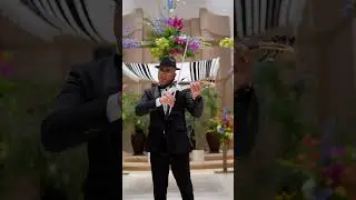 Jerusalem of Gold on Violin | Yerushalayim Shel Zahav