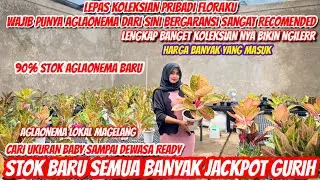 REVIEW AGLAONEMA STOK TERBARU FLORAKU‼️TONTON INI SAMPAI SELESAI‼️