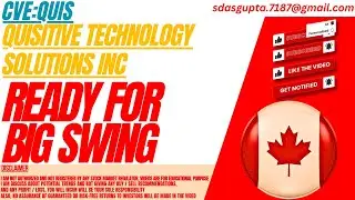READY FOR BIG SWING : QUIS STOCK ANALYSIS | QUISITIVE TECHNOLOGY SOLUTIONS INC STOCK