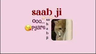 Me baba tilluu 😂🤣 or Subha Ho Gaye Sahab ji #cat #shortvideo #memes #lifeisbutadream #funny #comedy 