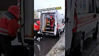 This Dog Wants To Stay With Her Owner,  But The Paramedics Pushed it Away... 😰 #shorts