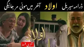 Aulaad Last Episode - Aulaad Complete Story - Aulaad All Episodes - ARY Digital Drama - Pak Dramas